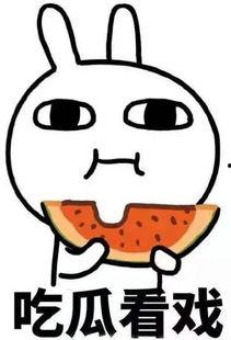 小呆呆拿枪吃瓜,趣味横生演绎另类生活